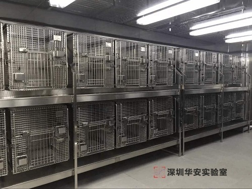 廣東實驗動物房裝修設計