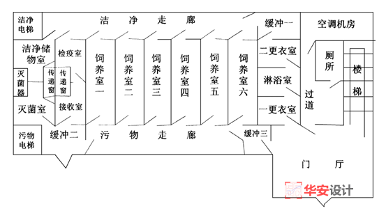 SPF級動物實驗室建設