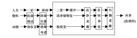 SPF級動物實驗室設計方案（教你如何設計spf動物實驗室）